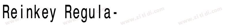 Reinkey Regula字体转换 Reinkey Regula字体转换